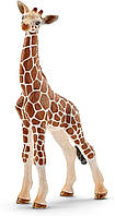 Фигурка Schleich Детеныш жирафа, Giraffe calf (14751)