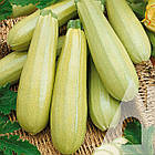 Насіння Кабачок Аспірант Садиба центр 10 г, фото 2