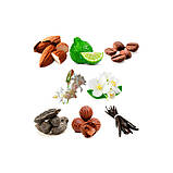 Fragrance World Chic Girl Eau De Parfum Парфумерна вода жіноча, 90 мл, фото 6