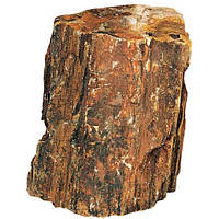 Декоративный природный камень Hobby Petrified Wood M 1-2.2кг (40687)