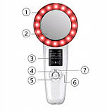 Lovine CelluEMS LOVEMS300 6в1 масажер для схуднення від целюліту, фото 4