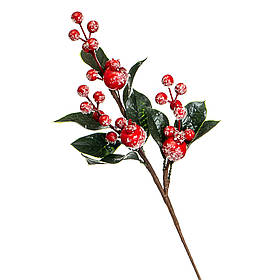 Гілка «Вічнозелена рослина з ягодами» ELISEY