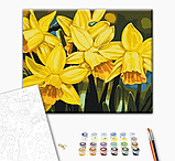 Картина за номерами Квіти Набір для розпису Нарциси ©Anastasiia Osmolovska Полотно на дерев'яному підрамнику 40x50 Brushme BS53724, фото 2