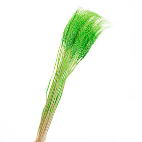 Пшениця Салатова, стабілізована ELISEY