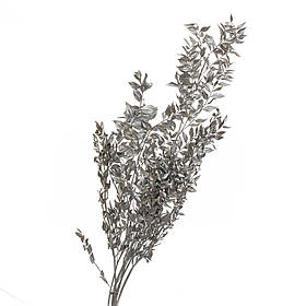 Рускус Срібло, стабілізований ELISEY