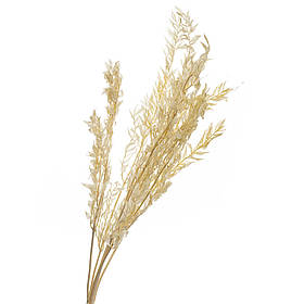 Самшит Беж, стабілізований ELISEY