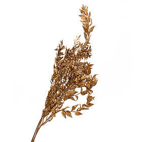 Рускус Золото, стабілізований ELISEY