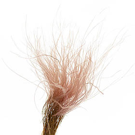 Ковилаа Персикова, стабілізований ELISEY