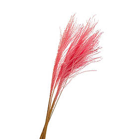 Ковилаа Рожева, стабілізований ELISEY