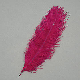 Пір'я страуса 25-30 см, бордовий ELISEY