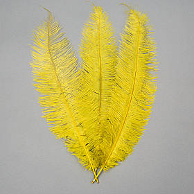 Страусине перо 55 см жовто-зелений ELISEY