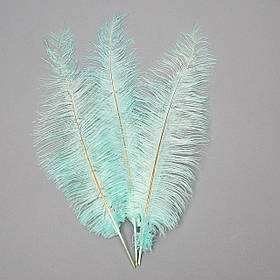 Страусине перо 55 см бірюзовий ELISEY