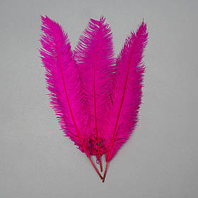 Страусине перо 55 см малиновий ELISEY