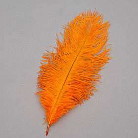 Страусине перо 25-30 см помаранчевий ELISEY