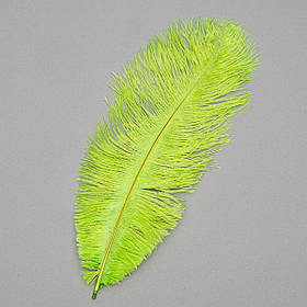 Страусине перо 25-30 см салатовий ELISEY