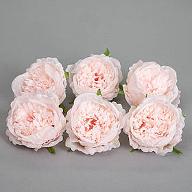 Головка півонії 6 см. *Рандомний вибір кольору ELISEY