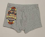 Труси боксери "DONI" 75322BS, сірі з малюнком,Туреччина, фото 2
