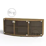 Тумба ТВ Плазма-2 (Компаніт) 1292х410х514мм, фото 9