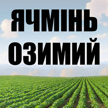 ЯЧМЕНЬ Оз.
