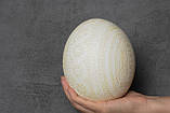 Писанка зі страусиного яйця, крашанки ручної роботи, ексклюзивна величезна біла писанка, фото 3