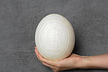 Писанка зі страусиного яйця, крашанки ручної роботи, ексклюзивна величезна біла писанка, фото 6