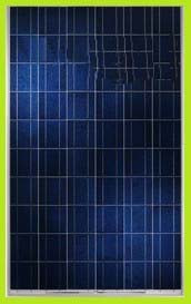Сонячна батарея YINGLI Solar 335 Вт 24В полікристалічна 5BB (EE), фото 1
