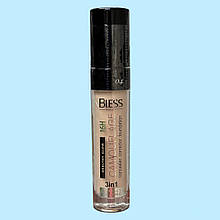 Консилер з пензликом Bless Beauty Camouflage 3 in 1 Concealer 04, 9 мл