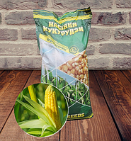 ДН ПИВИХА (фао 180) Семена кукурузы «Югагросервис» Потенциал урожайности135 ц/га