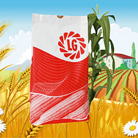 Семена кукурузы ЛГ 3258 (Лимагрейн) (фао 380) высокоурожайный гибрид до 16 т/га