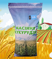Семена кукурузы Оржица 237 МВ (ФАО 240) Среднеранний, Урожайность зерна потенциальная 11,0 12,0 т/га