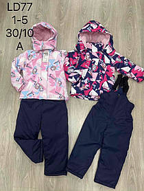 Комбінезон для дівчинки на флісі оптом (куртка +комбінезон), S&D, 1-5 років, LD-77