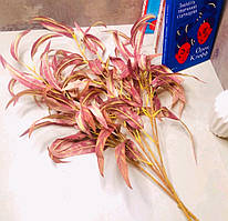 Гілка тонколистого евкаліпта, Ліловий