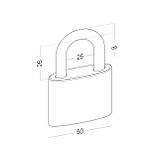 Замок навісний латунний HORST HR-B1-50E 50мм, фото 2