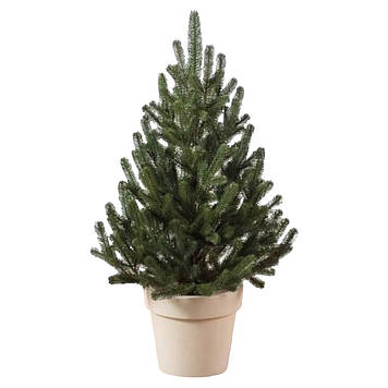 Ялинка штучна в горщику лита Віденська 0,7 м зелена ялина в горщику