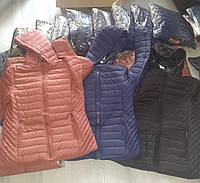 Женская демисезонная стеганая куртка на синтепоне с капюшоном Tovta Венгрия L,2XL,3XL,5XL ТОЛЬКО!