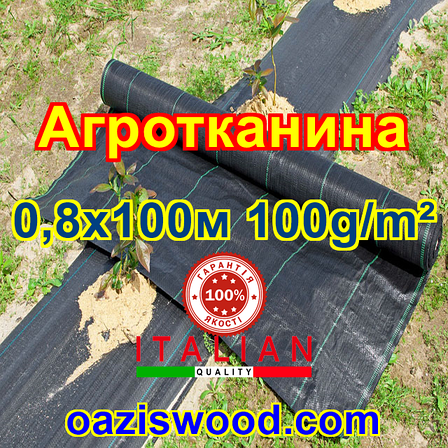 Агротканина 0,8х100м 100g/m² PROFI Чорна, плетена, щільна. мульчування грунту - пакет, фото 1