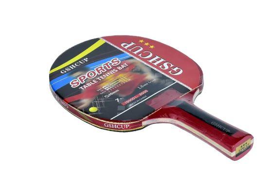 Набір для настільного тенісу (пінг-понгу) GSHCUP 3*: ракетка +чохол
