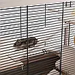 Клітка для хом'яка і мишей деревяна HAMSTERVILLE 60 x 34 x h 49 cm Ferplast, фото 10