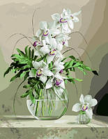 Картина Рисование по номерам Цветы 40*50 Орхидеи в вазе номерные раскраски BrushMe BS21177