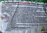 ПацюкOFF Засіб родентицидний для знищення мишей і щурів Зернова принада 800г, Агро Протекшн, фото 3