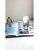 Книга 3D Наш дім - планета земля, енциклопедія, оживає, доповнена реальність, звук, FastAR kids, 87ст, українська мова,, фото 3