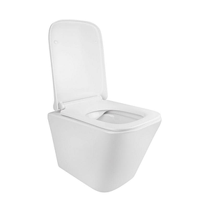 Унітаз підвісний Qtap Tern WHITE Rimless з сидінням Slim Duroplast/ Soft-close