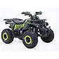 Дитячий квадроцикл ORiX  150 B/S (BALANCE SHAFT) Зелений, фото 2