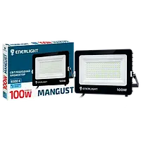 ENERLIGHT MANGUST Прожектор світлодіодний 100Вт 6500K