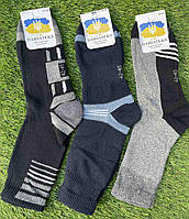Мужские носки зимние махровые "Dariateks" размер 42-45 Микс (от 12 пар)