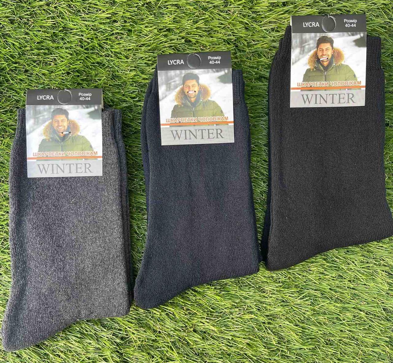 Чоловічі шкарпетки зимові махрові "Winter" розмір 40-44 Мікс (від 12 пар)
