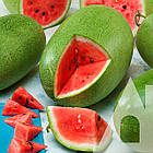 Кавун Чарльстон Грей Франція 10 г, фото 6