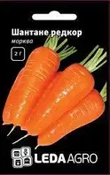 Шантане Редкор семена моркови, 2 г среднепоздний сорт (120-130 дней) LEDAAGRO