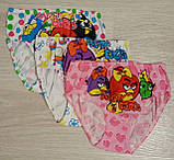 Труси для дівчинки "Angry Birds", білі в квіти, фото 3