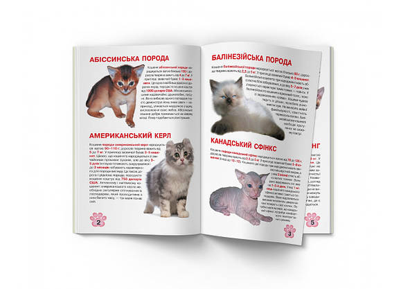 Енциклопедія Велика книжка. Кошенята, фото 3